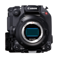 canon c500 used